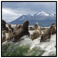 South Shetland Islands