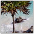 Jost Van Dyke